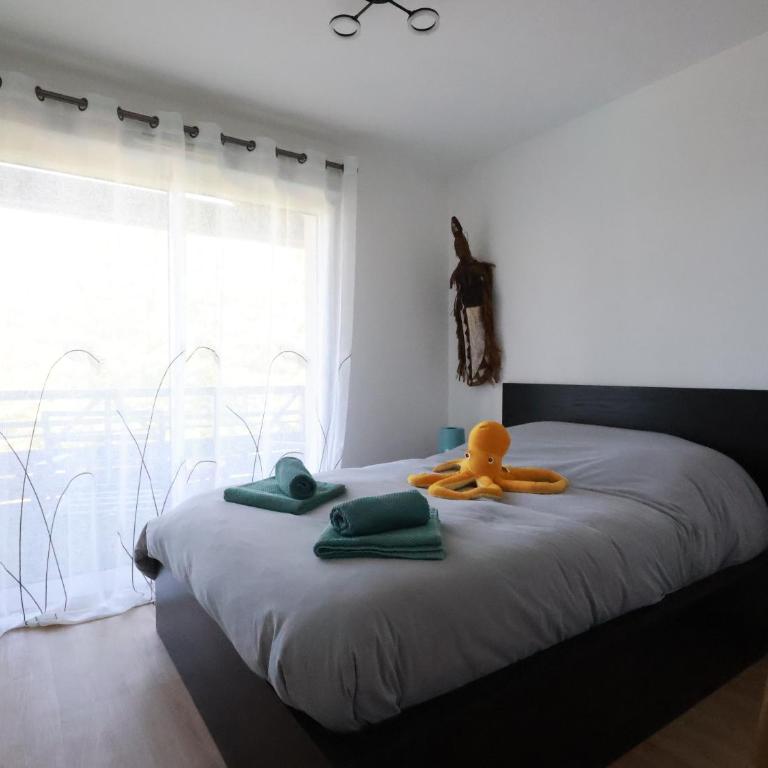 Le Lago - Vue lac - Terrasse & Piscine - Soustons - Appartement 1 Chambre - 7