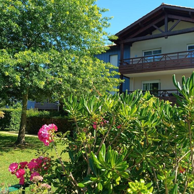 Le Lago - Vue lac - Terrasse & Piscine - Soustons - Appartement 1 Chambre - 27