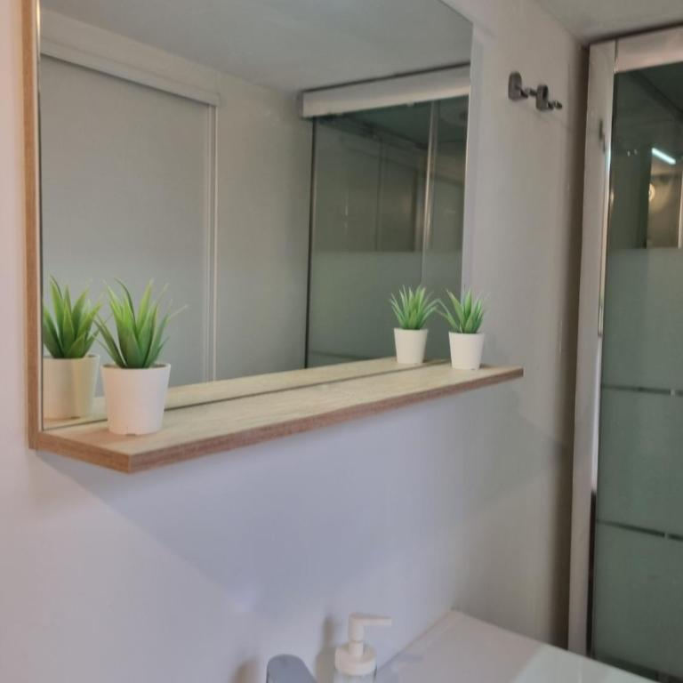 Studio Cozy à 100 m des halles - Appartement 1 Chambre - 19