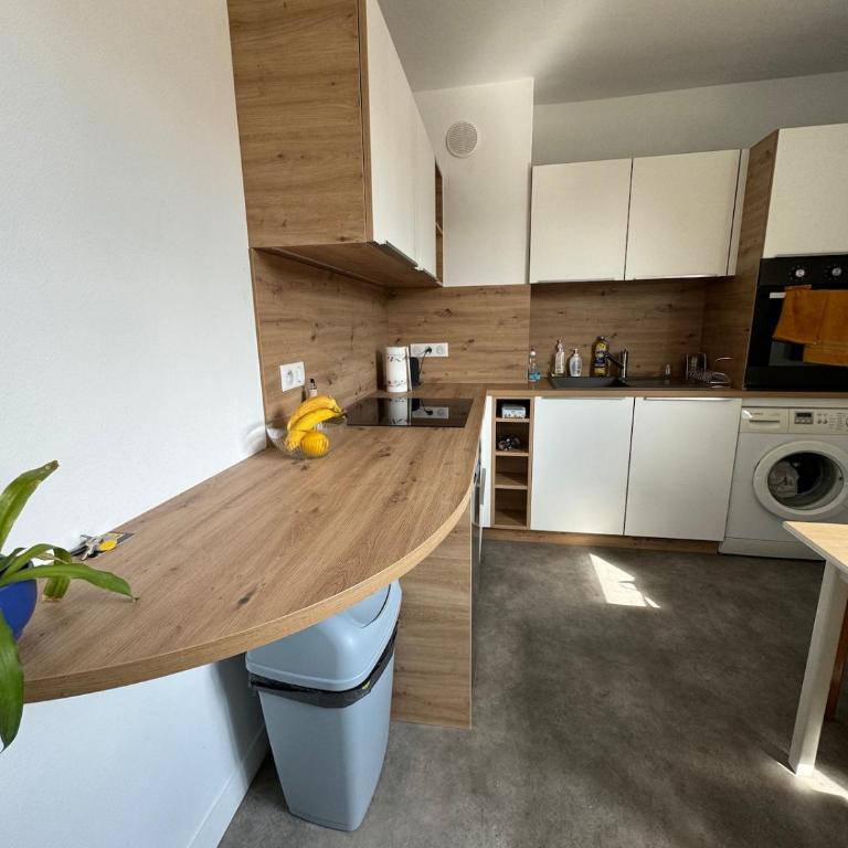 Charmant studio à quelques mètres du lac d'Annecy - Apartment mit 2 Schlafzimmern - 4