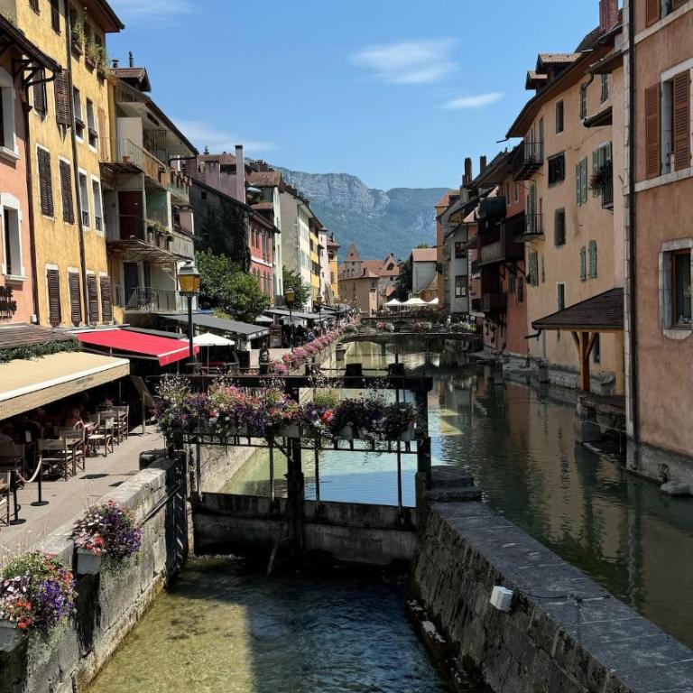 Charmant studio à quelques mètres du lac d'Annecy - Apartment mit 2 Schlafzimmern - 15
