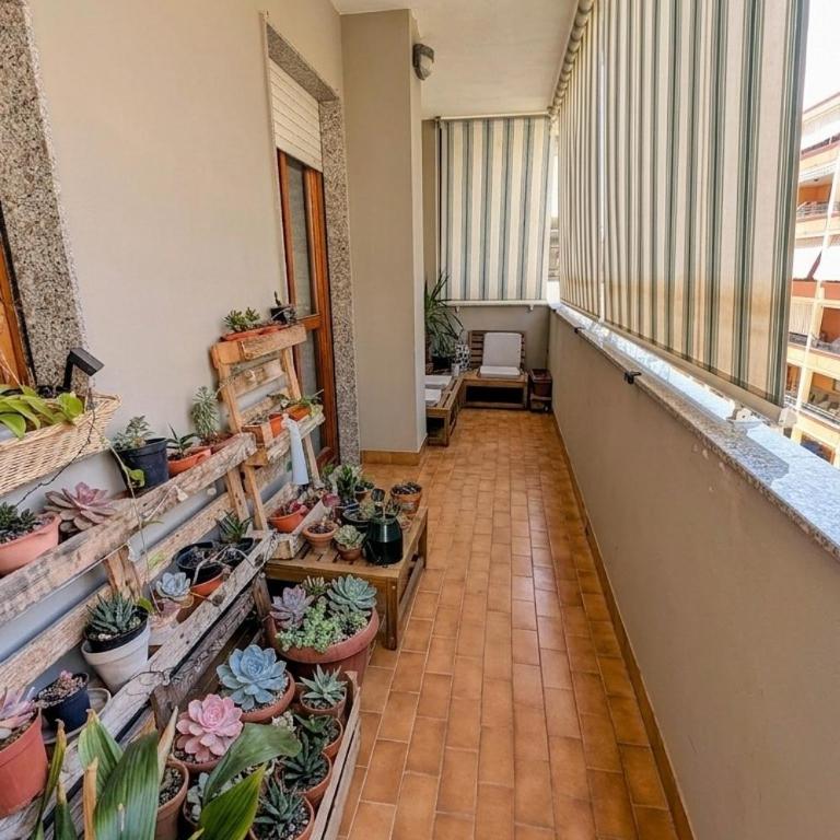 Palms Rooms - Grazioso e Ricercato Trilocale con Veranda a 300m dal mare - Appartement 2 Chambres avec Balcon - 6