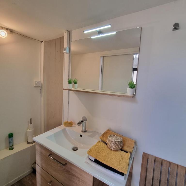 Studio Cozy à 100 m des halles - Appartement 1 Chambre - 23