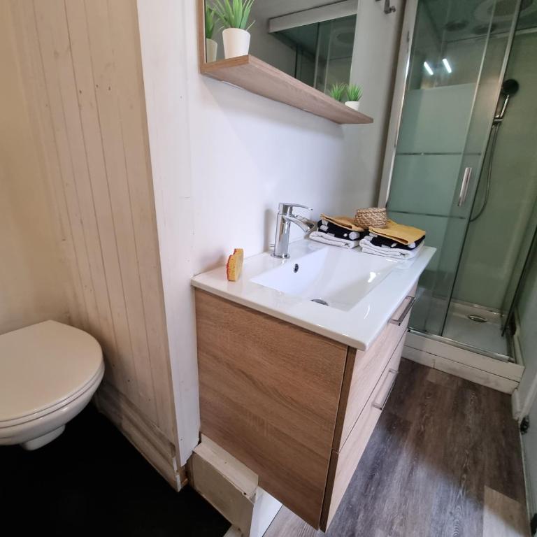 Studio Cozy à 100 m des halles - Appartement 1 Chambre - 21