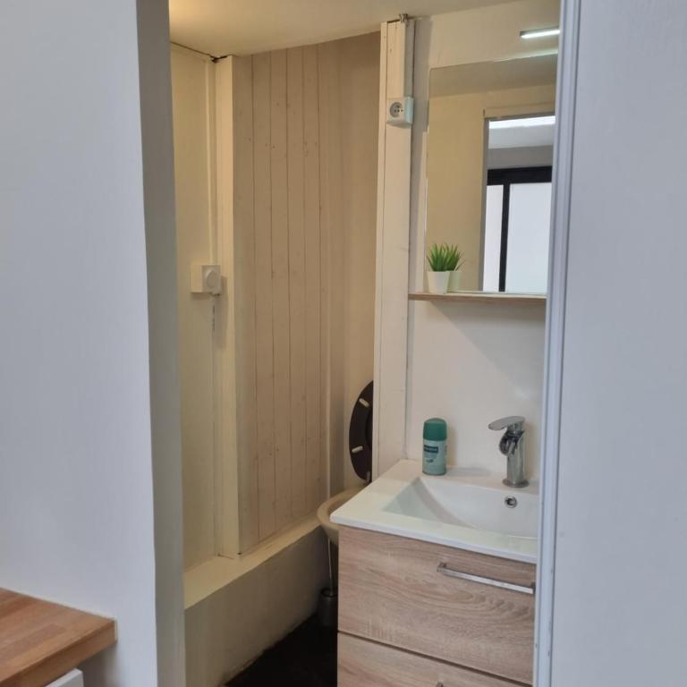 Studio Cozy à 100 m des halles - Appartement 1 Chambre - 22
