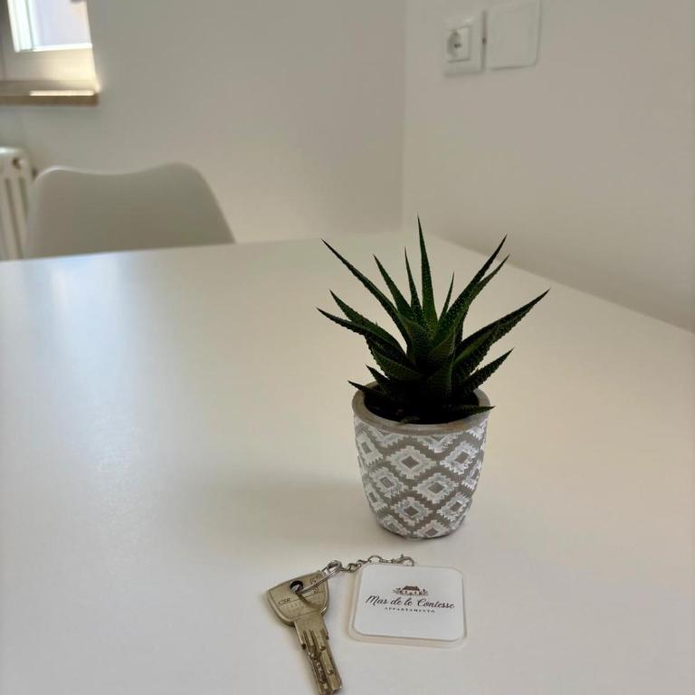 Mas de le Contesse - Apartment - 6