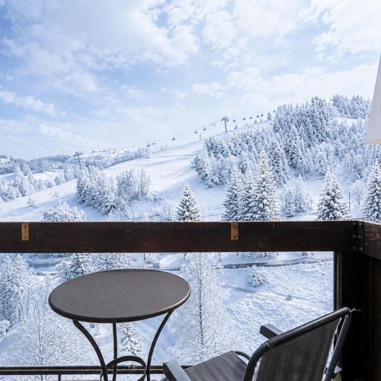 Studio, animaux admis, vue pistes - 4+1 pers. - Studio - 17