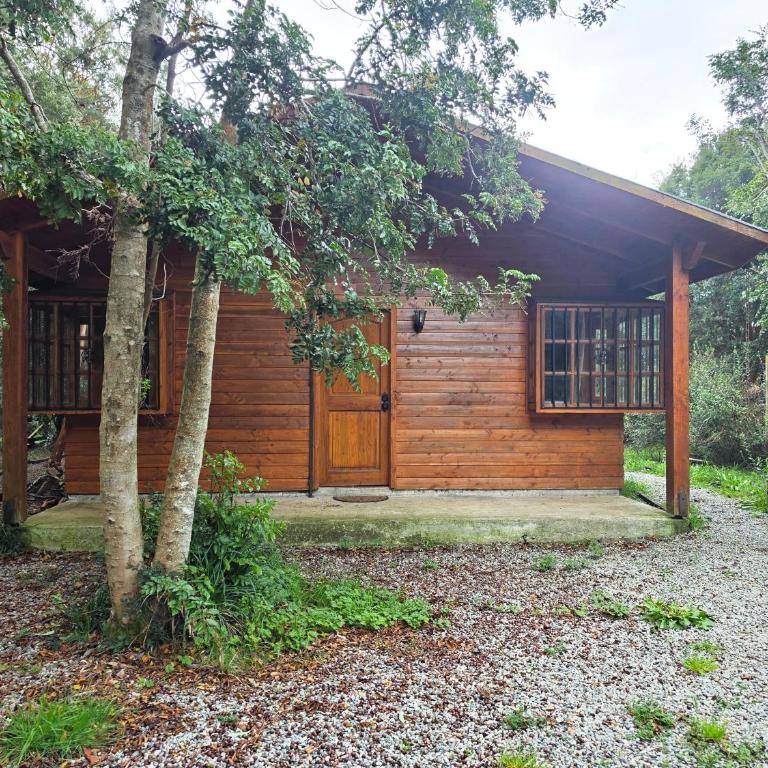 Refugio de madera frente al mar, Curiñanco - Three-Bedroom House - 2