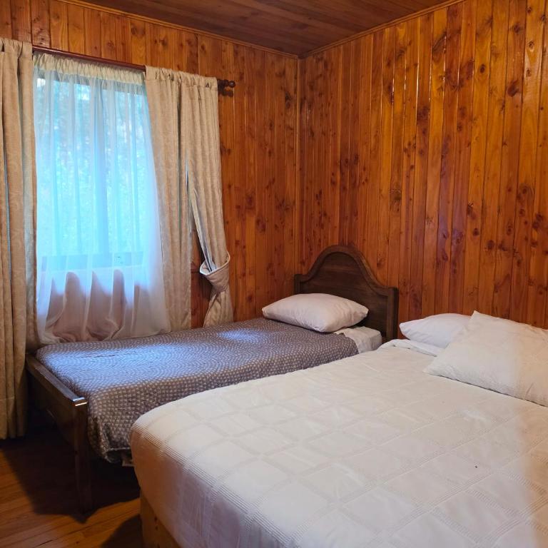 Refugio de madera frente al mar, Curiñanco - Three-Bedroom House - 9