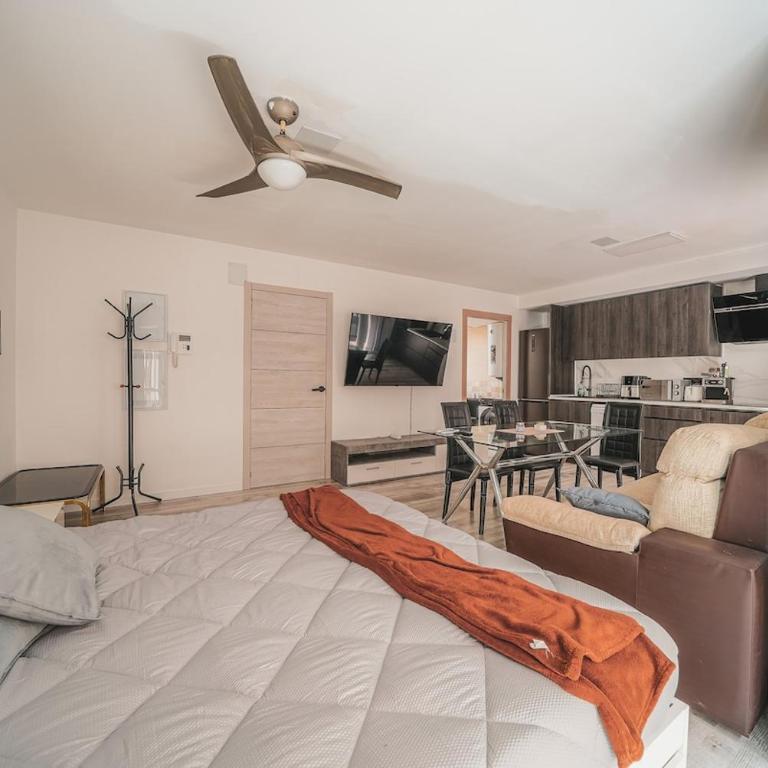 Modern loft in Central Cordoba near the Train and Bus Station - Apartment mit 1 Schlafzimmer - 2