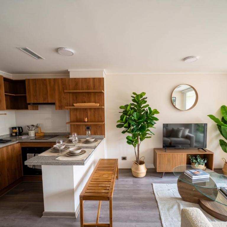 Teatro Caupolican I Metro Matta - One-Bedroom Apartment - 1