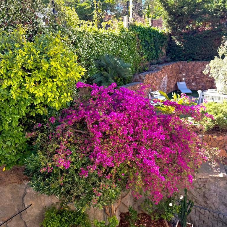 Renovated - 3 bedrooms - AC - Sea view - Sleeps 6 - Apartamento de 2 dormitorios - 20