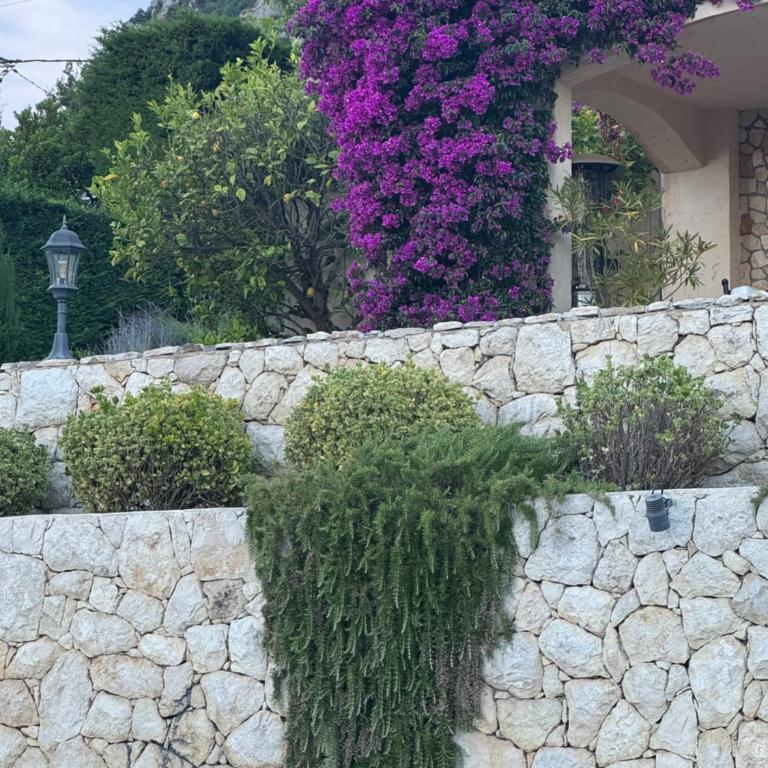 Villa D'Azur - Villa - 24