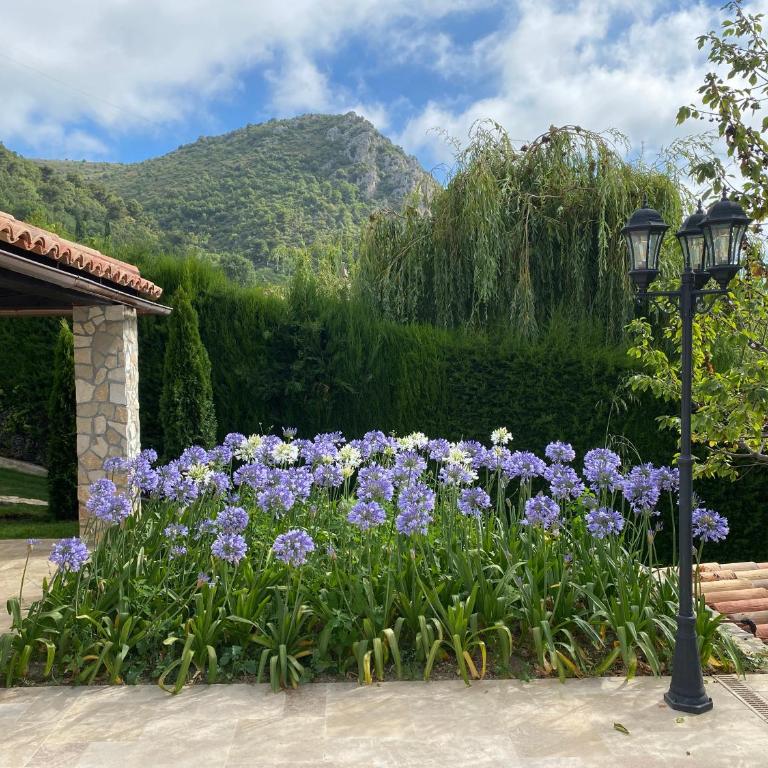 Villa D'Azur - Villa - 26