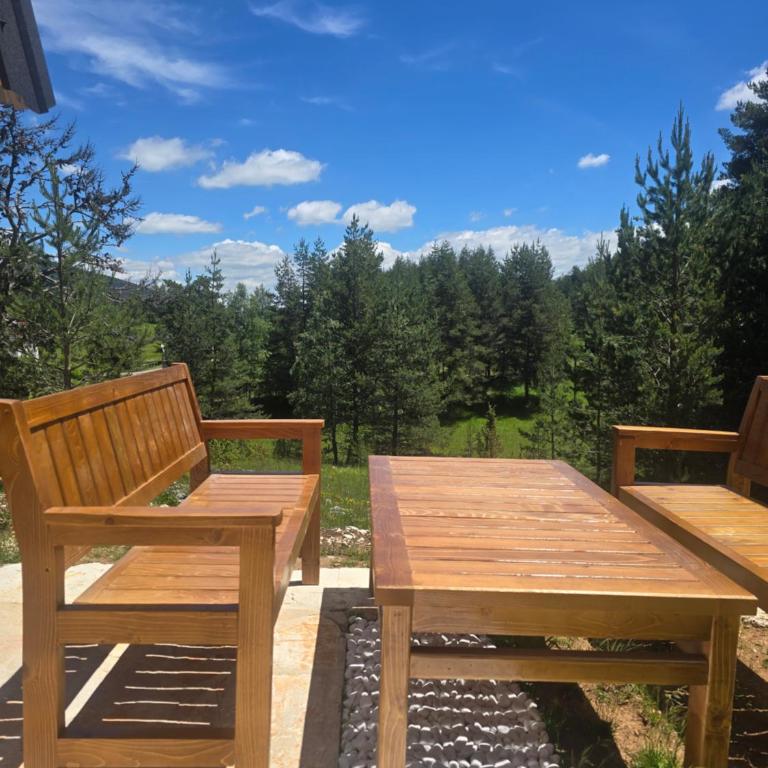 Golden pine chalet Žabljak - Vacation Home - 3