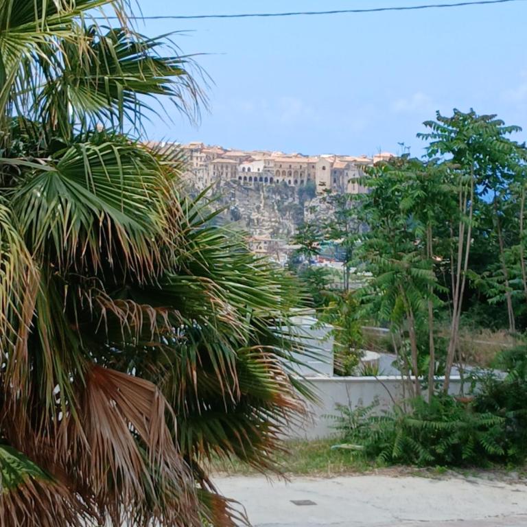 Sanset Africa beach - Appartement 1 Chambre - 11