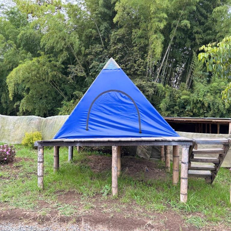 Camping El Paraiso - Tienda - 4