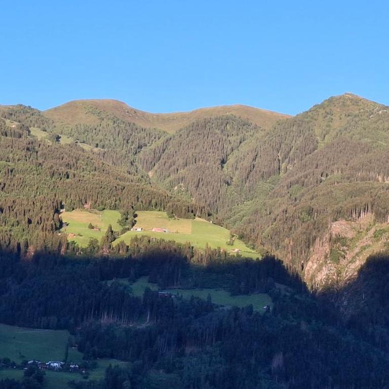 Apart Ritzl - Apartment mit 2 Schlafzimmern und Balkon - 53