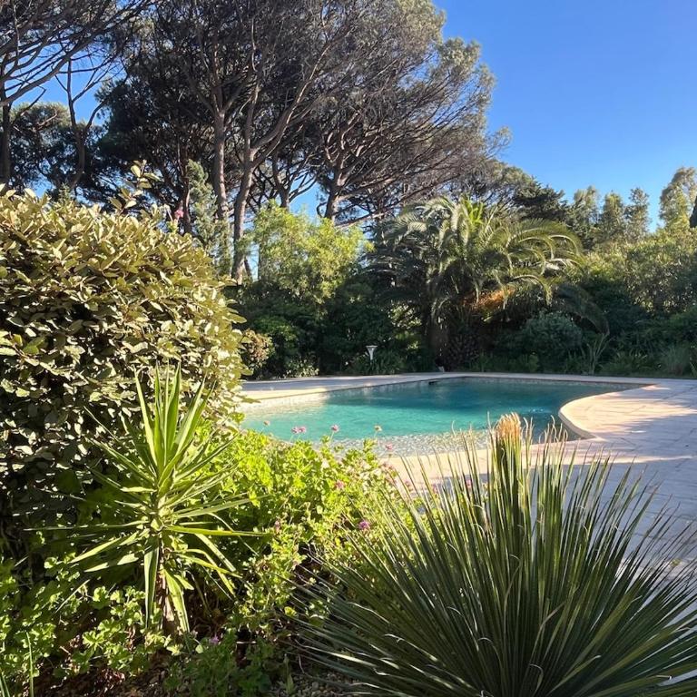 Family villa in the heart of Baie des Canebiers - Villa - 14