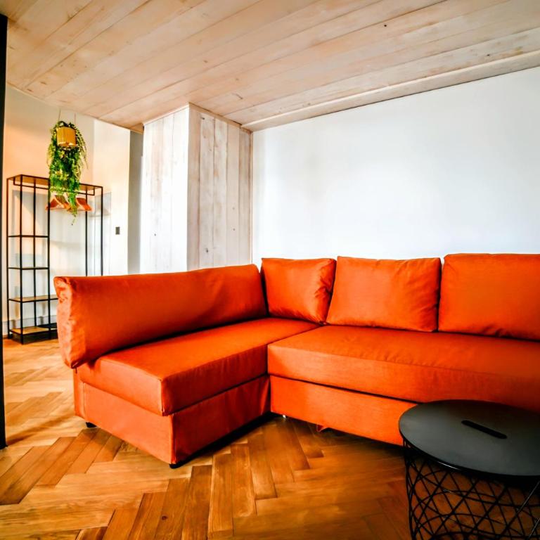 Old Port Riverside Apartments&Lofts in City Center - Apartment mit 1 Schlafzimmer mit Flussblick - 1