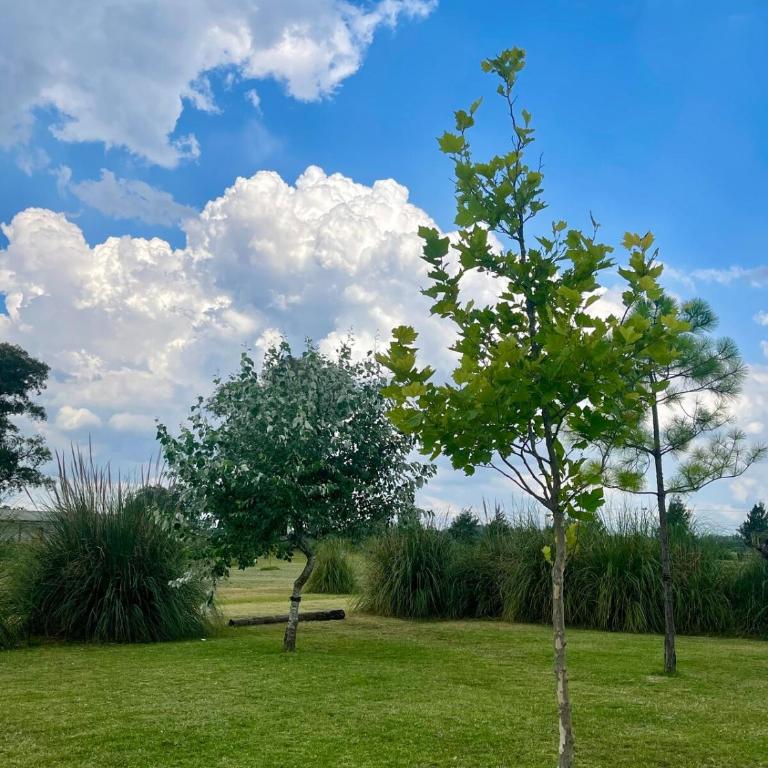 Petion Polo Ranch - Casa de 2 dormitorios - 12