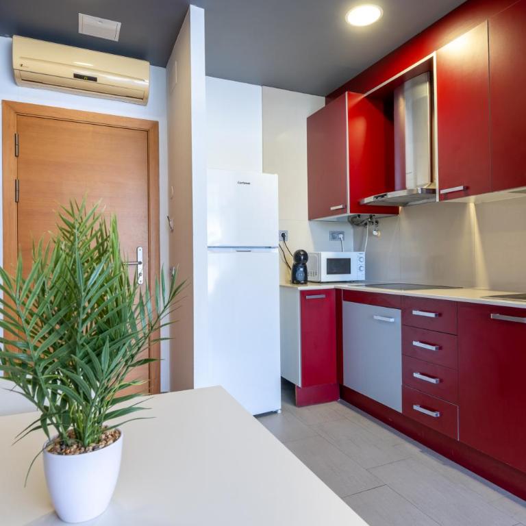 Apolo Suites Rentalmar - Appartement 1 Chambre - 10