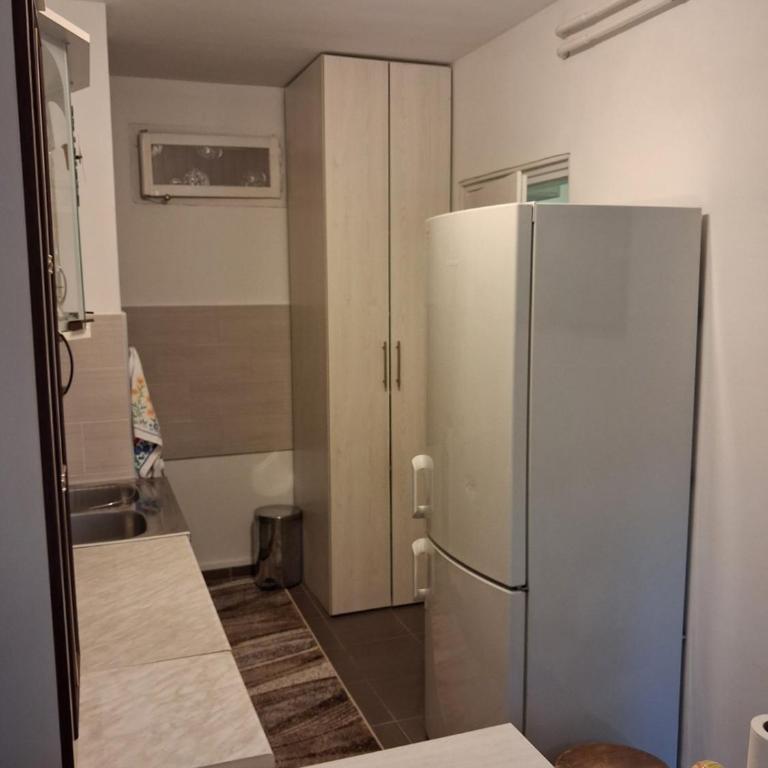 Apartman Pod Lipom - One-Bedroom Apartment - 4