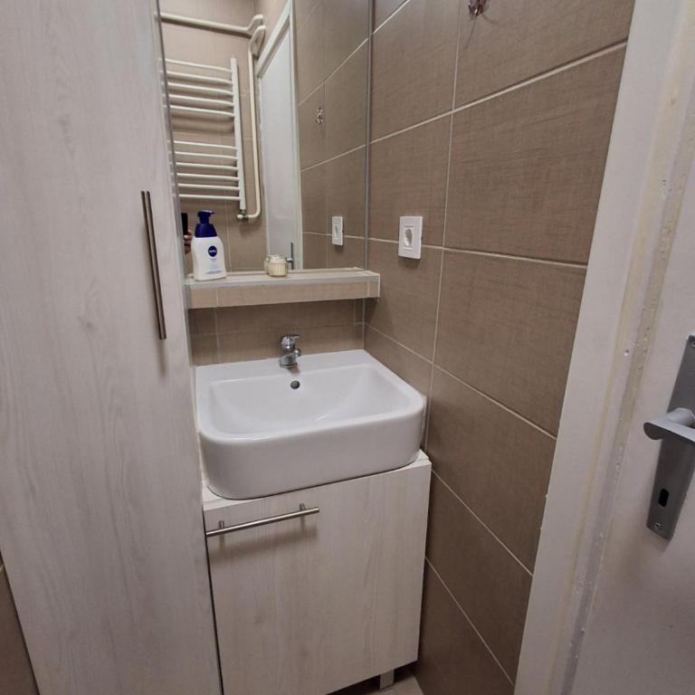 Apartman Pod Lipom - One-Bedroom Apartment - 29