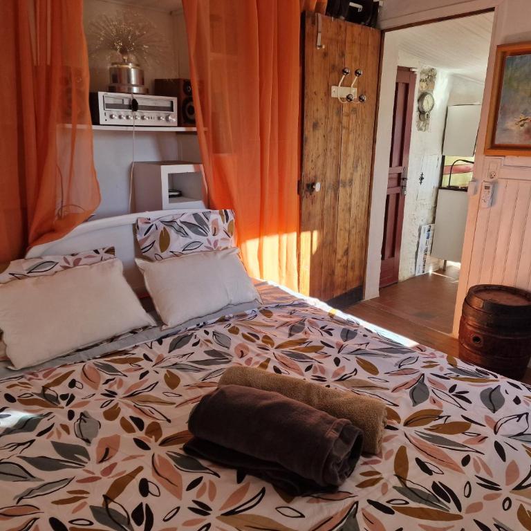Maison Diana - Appartement 1 Chambre - 2