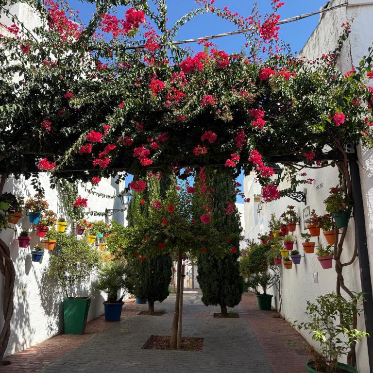 Dream Holidays by the Sea Estepona - Apartment mit 2 Schlafzimmern - 5