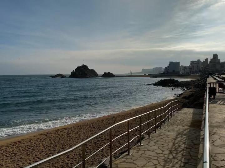 Luz de Mar Luxury Apartment - Apartment mit 2 Schlafzimmern und Meerblick - 12