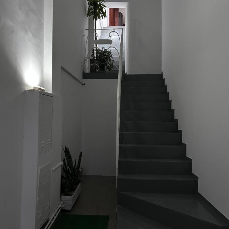 Casa cuidar1 - Apartamento de 1 dormitorio - 7