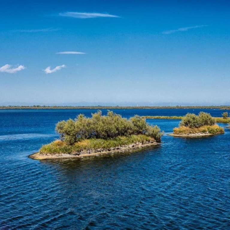 Appartment in Rosolina Mare RO - Apartamento de 2 dormitorios - 26