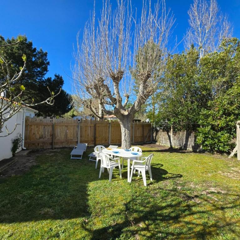 Maison de vacances au calme proche mer - 4 pers. - FR-1-777-51 - Ferienhaus - 6
