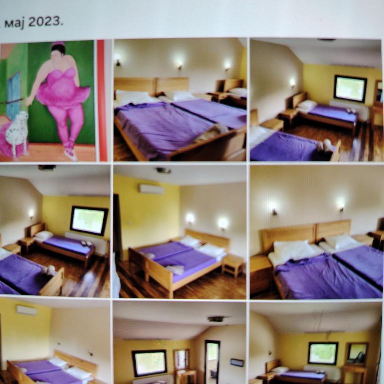 Hotel Alfa - Budget Zweibettzimmer - 2