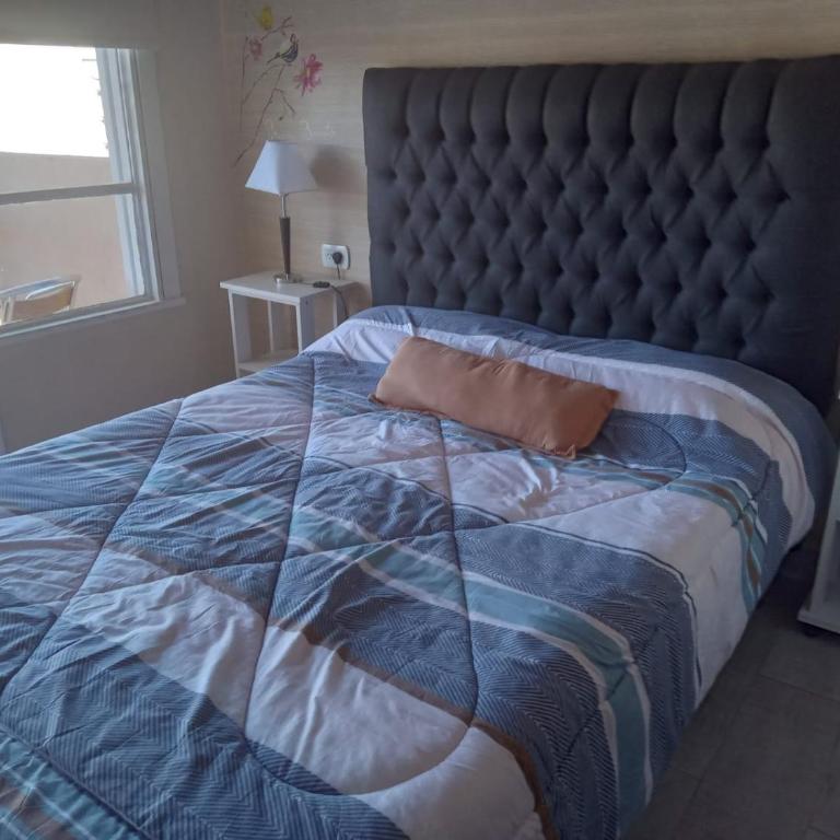 Paseo la plaza - Apartamento de 1 dormitorio - 11