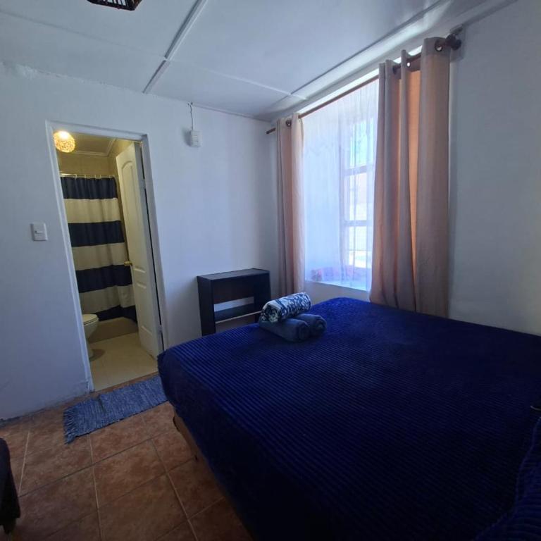 Hostal Nativo SPA - Habitación Individual Estándar - 2