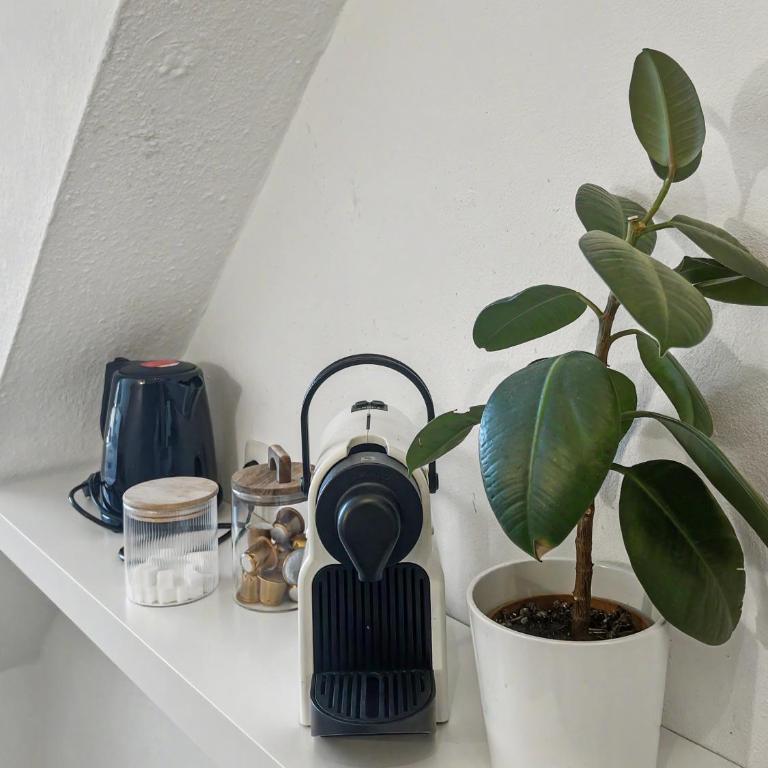 NAMI - ROBIN - Helle Apartments mitten in der Stadt - Apartment mit 1 Schlafzimmer - 7