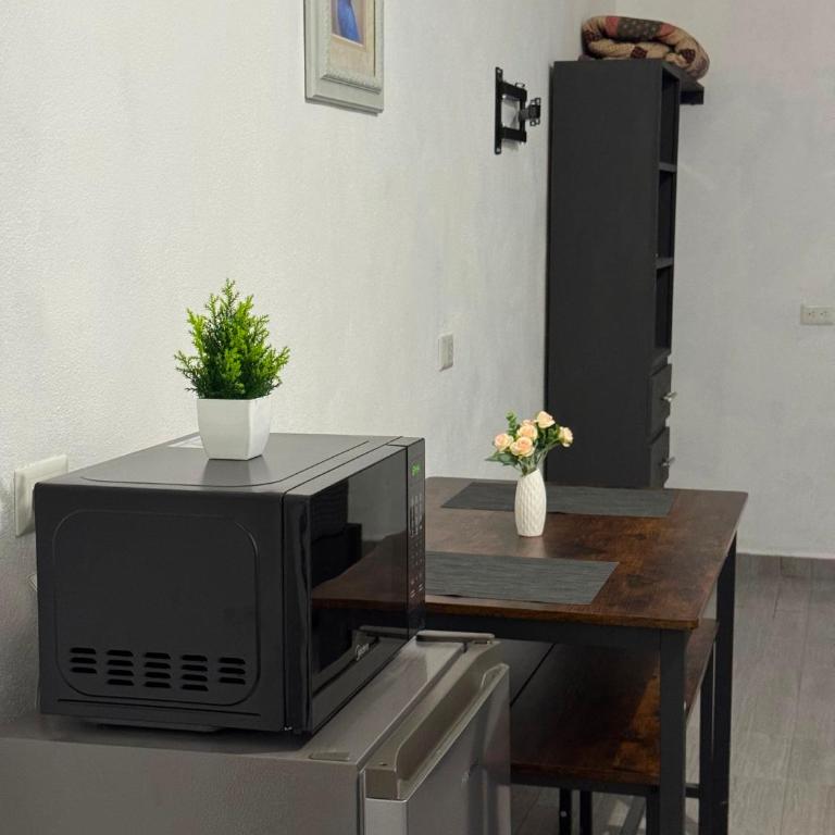 Loft confortable cerca del Estadio BBVA - Apartamento de 1 dormitorio - 4