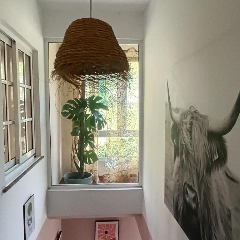 GreenHouse - Ferienhaus mit 4 Zimmern - 33