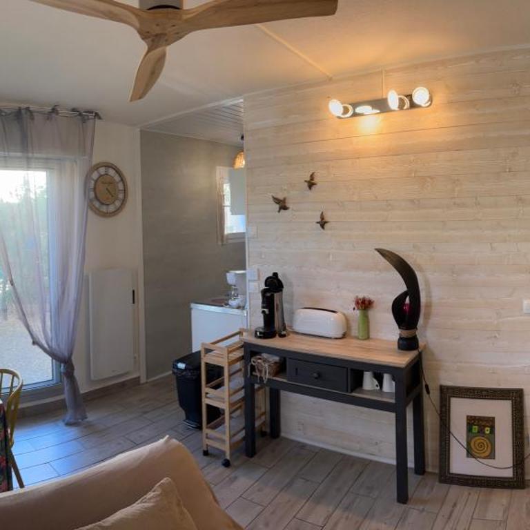 Appartement calme centre village avec jardin parking et wifi fibre - Appartamento con 1 Camera da Letto - 1