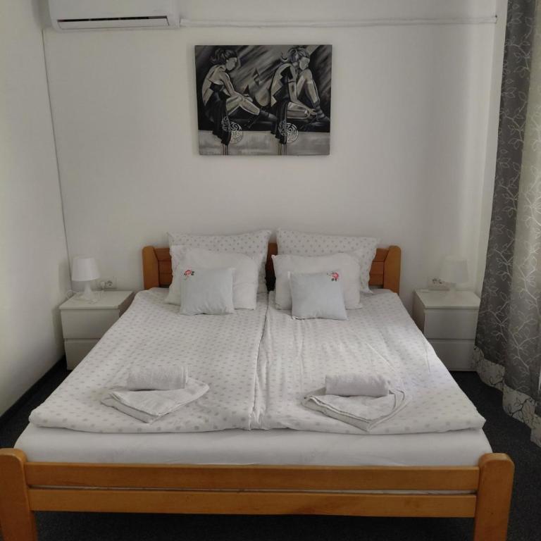BUDGET Guest Room in Central Pedestrian Zone - Renovated - Appartement 1 Chambre - 2
