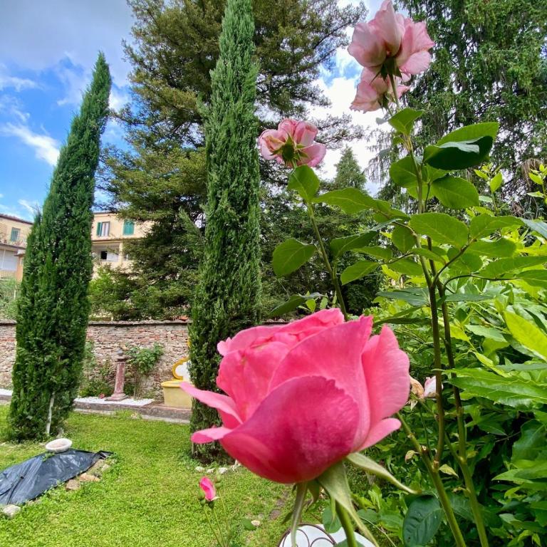Gelso Rosso, Romantic stay in the Old Garden - Apartamento de 1 dormitorio - 5