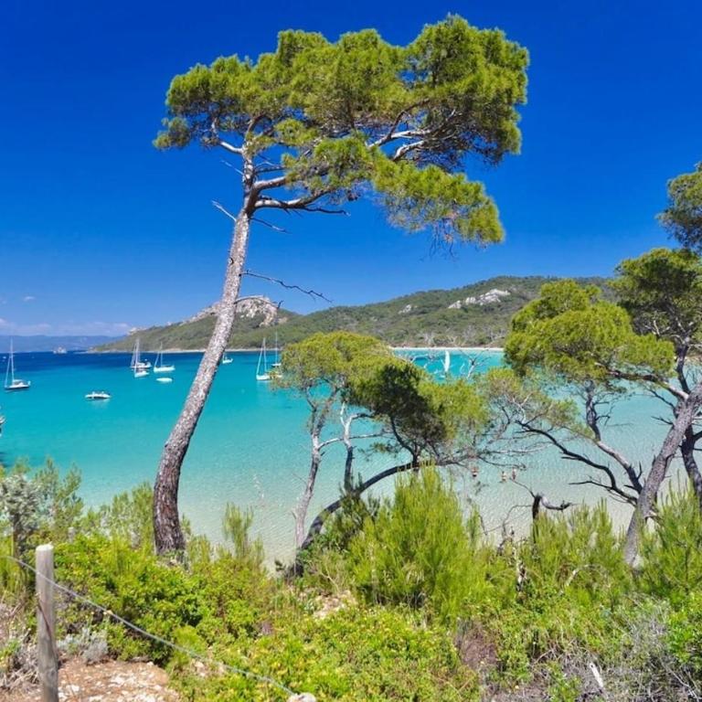 T1 - Presqu'île de Giens - La Tour Fondue - Apartment mit 1 Schlafzimmer - 12