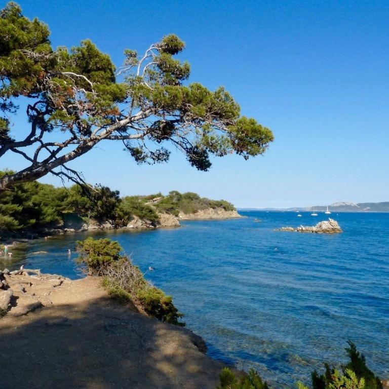 T1 - Presqu'île de Giens - La Tour Fondue - Apartment mit 1 Schlafzimmer - 31