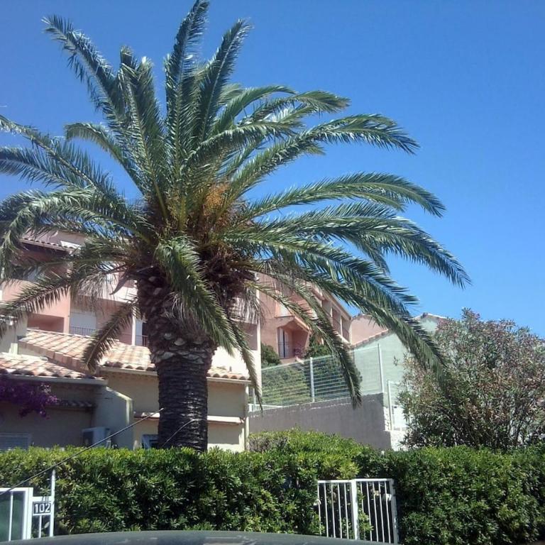 T1 - Presqu'île de Giens - La Tour Fondue - Apartment mit 1 Schlafzimmer - 37