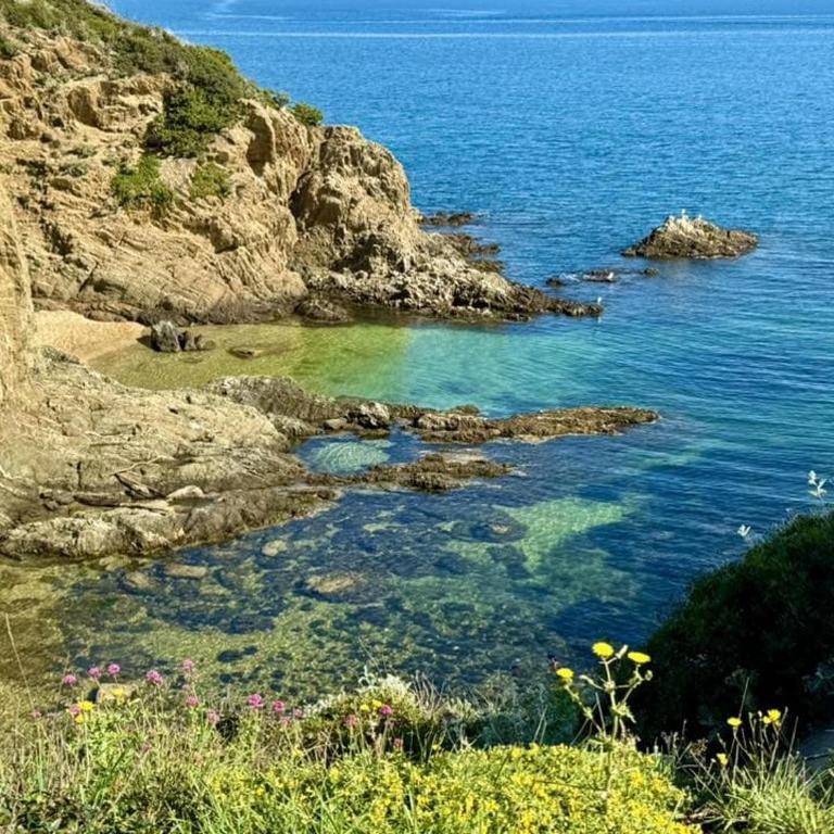 T1 - Presqu'île de Giens - La Tour Fondue - Apartment mit 1 Schlafzimmer - 38