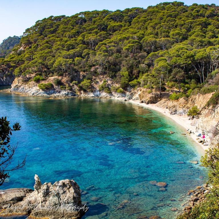 T1 - Presqu'île de Giens - La Tour Fondue - Apartment mit 1 Schlafzimmer - 46