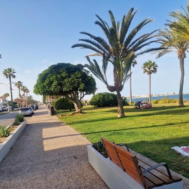 Apartament w Torrevieja, Mar Azul - Apartamento de 1 dormitorio - 7