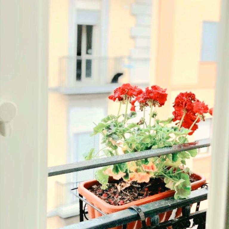ALBATROS Suites&Rooms - Vierbettzimmer mit Bad - 31